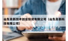 山东高新技术创业投资有限公司（山东高新科技有限公司）