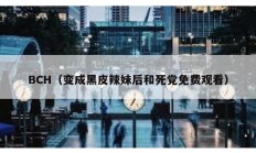 BCH（变成黑皮辣妹后和死党免费观看）