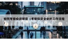 如何考察投资项目（考察投资企业的工作流程）