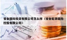 宝金国际投资有限公司怎么样（宝金能源国际控股有限公司）