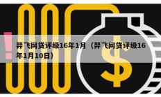 羿飞网贷评级16年1月（羿飞网贷评级16年1月10日）