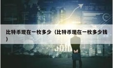 比特币现在一枚多少（比特币现在一枚多少钱）
