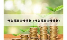 什么是融资性债务（什么是融资性债务）