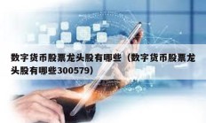 数字货币股票龙头股有哪些（数字货币股票龙头股有哪些300579）