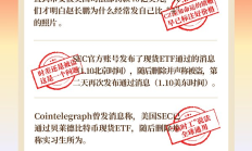 金色图览 | 新春特辑之「洋葱新闻」