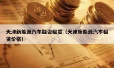 天津新能源汽车融资租赁（天津新能源汽车租赁价格）