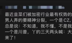 玩 meme 频遭滑铁卢 CZ 陷入「言多错多」的窘境