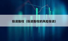 投资股权（投资股权的风险投资）