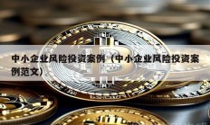 中小企业风险投资案例（中小企业风险投资案例范文）