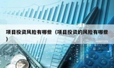 项目投资风险有哪些（项目投资的风险有哪些）