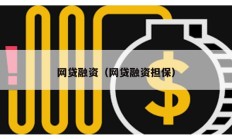 网贷融资（网贷融资担保）