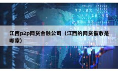 江西p2p网贷金融公司（江西的网贷催收是哪家）