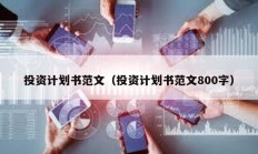 投资计划书范文（投资计划书范文800字）