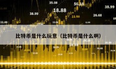 比特币是什么玩意（比特币是什么啊）