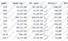 观点：2030年或有四分之一标普500公司持有BTC