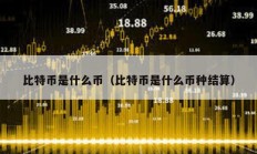 比特币是什么币（比特币是什么币种结算）