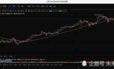 用比特币买披萨的人,天价披萨比特币的一个故事