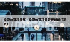 投资公司项目部（投资公司项目管理部部门职责）