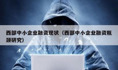 西部中小企业融资现状（西部中小企业融资瓶颈研究）