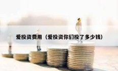 爱投资费用（爱投资你们投了多少钱）